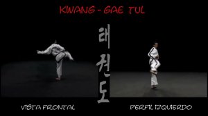Кван Гэ видео в тхэквондо туль Черный пояс 1 Дан, хьенг 39 движений комплекс Kwang Gae Tul спорт