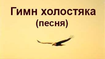 Гимн холостяка смотреть онлайн