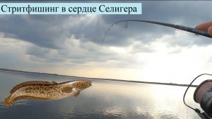 Стритфишинг в сердце Селигера.