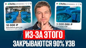 5 причин закрытия бизнеса по выращиванию рыбы в УЗВ в первый год. Проверь себя, пока не поздно!