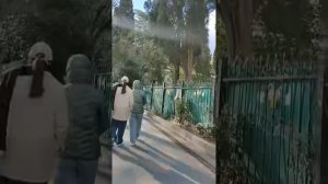 Экспедиция в глубины природы