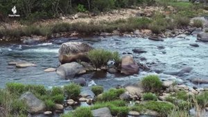 Отличная Расслабляющая Умиротворяющая Музыка 🍀 Целебная Музыка Для Сердца И Кровеносных Сосудов