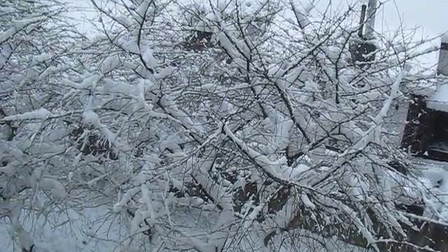 Житомир сегодня завалило  снегом:))) Zhytomyr today overwhelmed with snow :))) смотреть онлайн