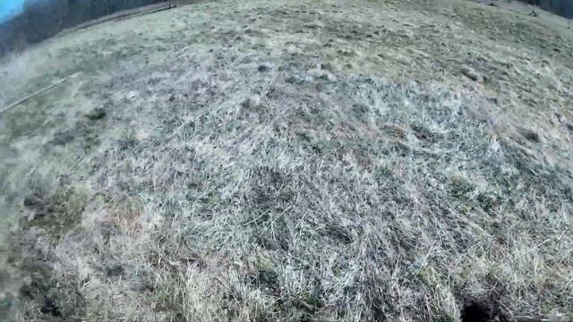 Первая царская монета в моей карьере копателя)))