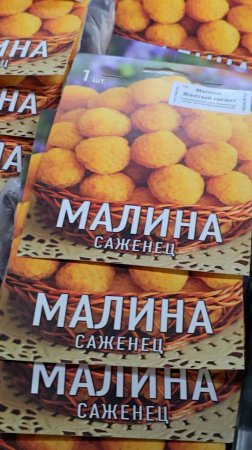 Эти саженцы малины нужны каждому в саду!