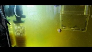 Ч 71 Аквариум Обзор фильтра