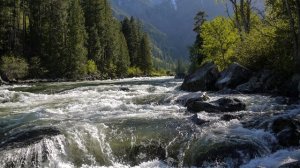 Звуки природы - Бурное течение реки и пение птиц (Часть 7)