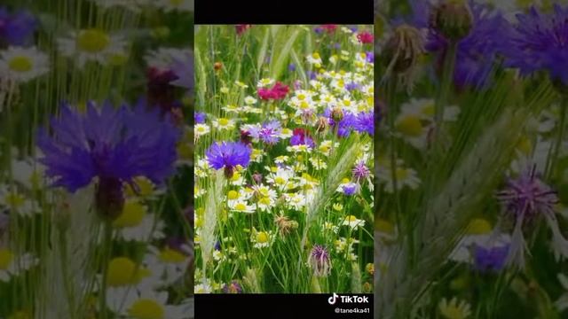 29 июня 2020 г. смотреть онлайн