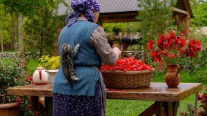 Ароматы Весны: Собираем Цветки Маков для Варенья