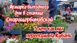 Ярмарка выходного дня в станице Старощербиновской. Цены. 5 лет как мы переехали на Юг.