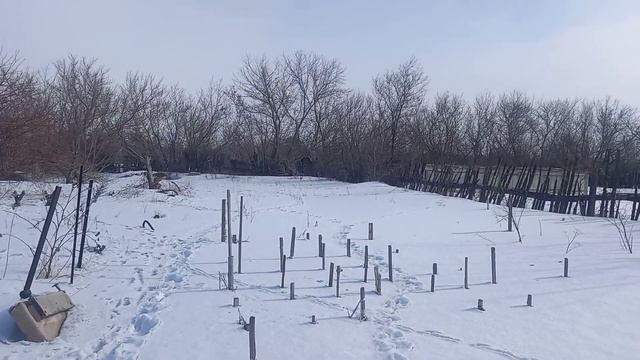 Дача выглядит так 2-ого Марта пасмурно и порошит мелкий снег