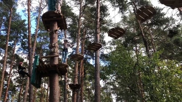 Парк «Раздолье». Первый раз я  на вершине деревьев.