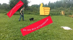 Дрессировка. Сломали психику собаки