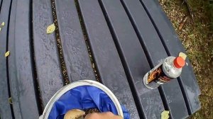 Турбаза "Побег из Города". Август 2024.