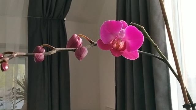 живу ли я? смотреть онлайн