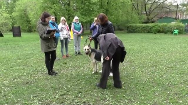 Вологда смотреть онлайн
