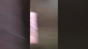 VID_20250427_094904.mp4
