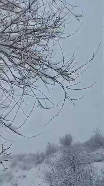 #горы #чимган смотреть онлайн