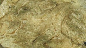 Тушеная картошка   с мясом  в духовке