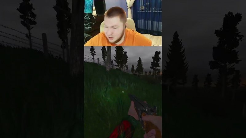Страшные звуки в сталкере!
