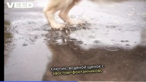 мультфильм про тучку