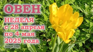 ОВЕН | ТАРО прогноз на неделю с 28 апреля по 4 мая 2025 года