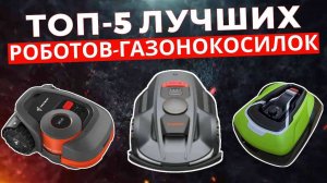 ТОП-5: Лучшие роботы-газонокосилки 2025