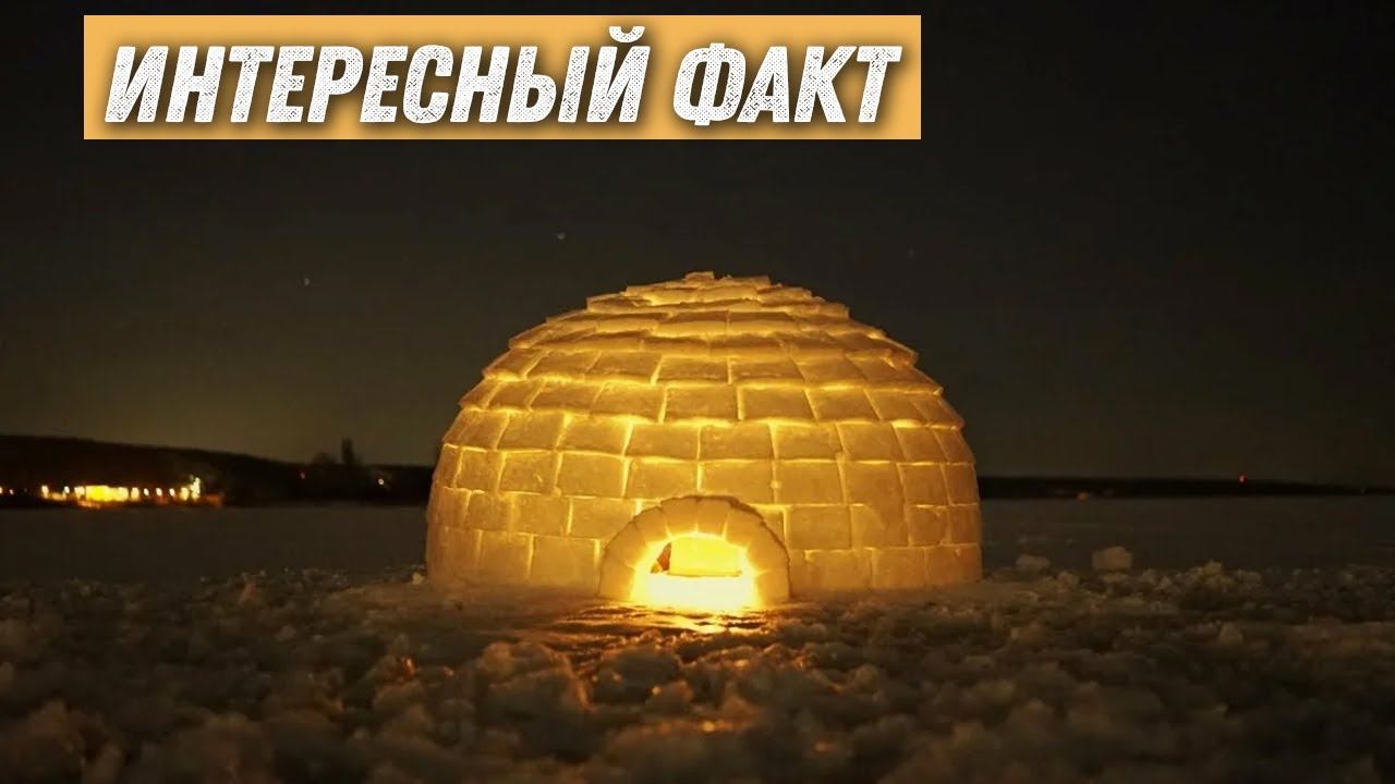Почему снежные дома эскимосов не тают даже когда внутри разводят огонь