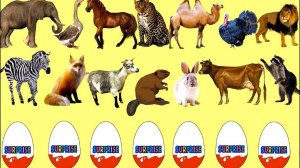 Мультик для малышей про животных. Дикие и домашние животные в киндер сюрпризах