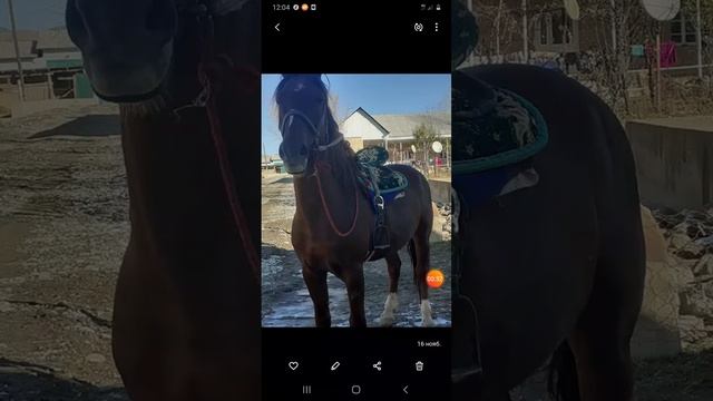 Калдыргач смотреть онлайн