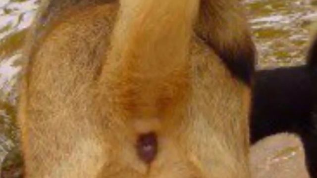 AНУ$ П$А СМОТРЕТЬ ОНЛАЙН БЕЗ СМС И РЕГИСТРАЦИИИ.ЭКСТРОТРЕК смотреть онлайн