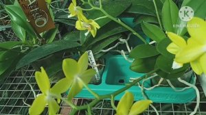 Бегом по Красной ниве