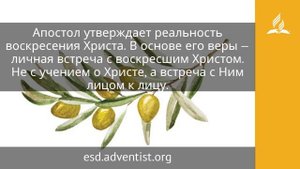 28 апреля 2025 Напоминаю Евангелие. Под сенью благодати. Адвентисты