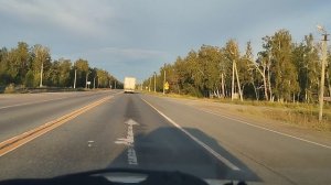 Соловьи