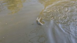 27.04.25 г. Парк отдыха водопад