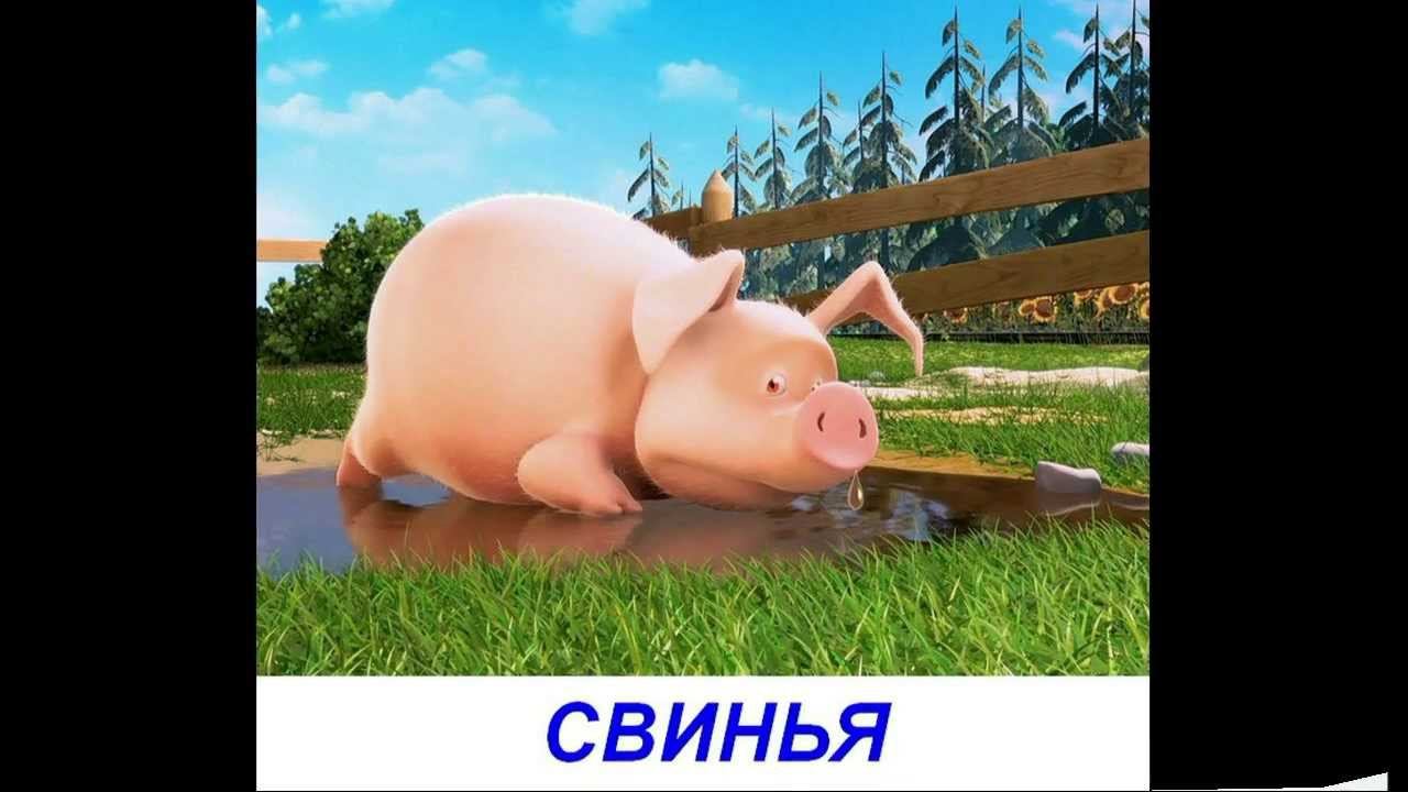 Видео для малышей - Домашние животные смотреть онлайн