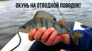 САМАЯ ЛУЧШАЯ СНАСТЬ В МИРЕ!!!Не оставила Окуню не единого шанса!!