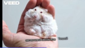 Мультфильм детям