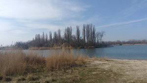 История - Истинное проклятье Вселенной