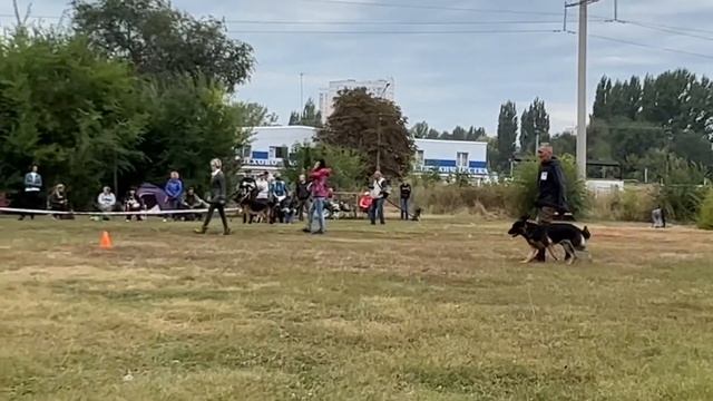 СЕЛЛИ С ПОКРОВСКОЙ СЛОБОДЫ смотреть онлайн