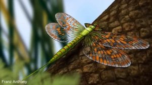 🎬 Интересные факты: Тайна крыла насекомых.