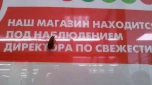 Восстание тараканов в пятёрочке