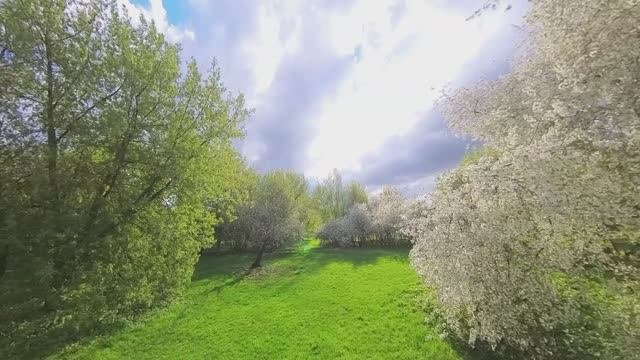 Коломенское 26.04.2025