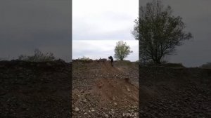 Веселые покатушки
