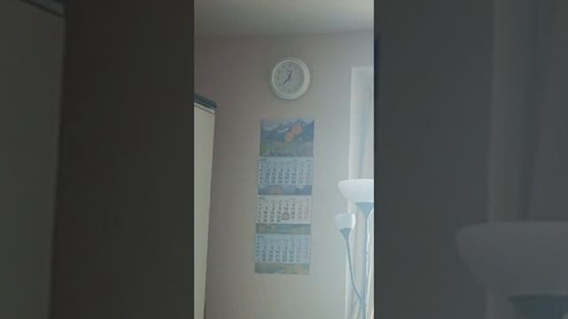 24.04.25/12:35 Долбят
