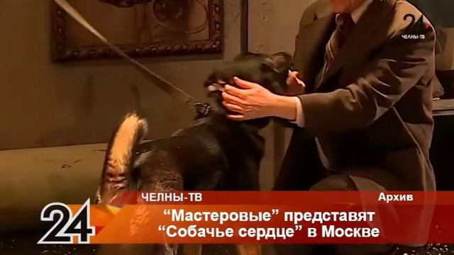 "Мастеровые" представят "Собачье сердце" в Москве смотреть онлайн