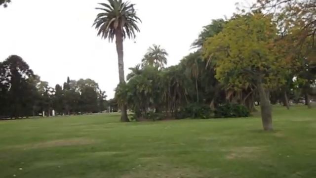 Район Реколета. Деревья.Поездка на автобусе смотреть онлайн