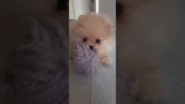 Жадина. смотреть онлайн