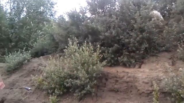 Джеспер и я. Битва за палку