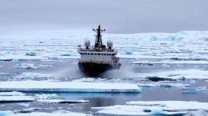 Ледоколы, лёд, океан тюлени // ФУТАЖ